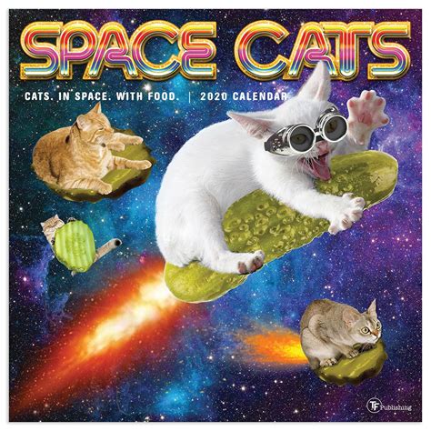 Space Cat Review 2024